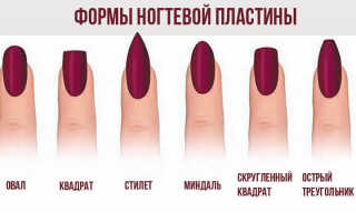 Как выбрать форму и длину ногтей и сделать опил