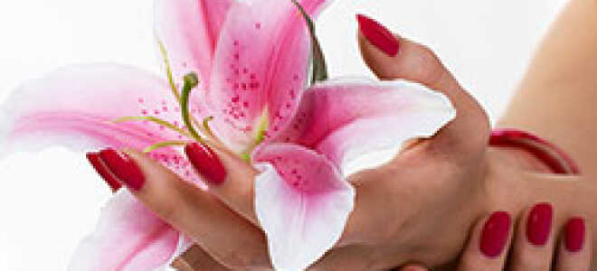 Биогель для ногтей: как укрепить ногти биогелем