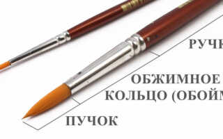 Кисточки для маникюра — обзор всех видов