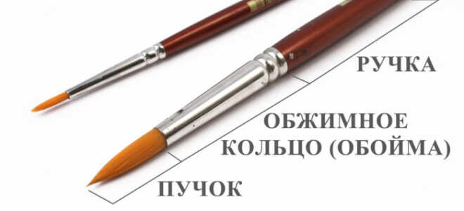Кисточки для маникюра — обзор всех видов