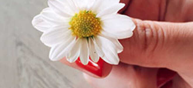 Как определить здоровье человека по ногтям