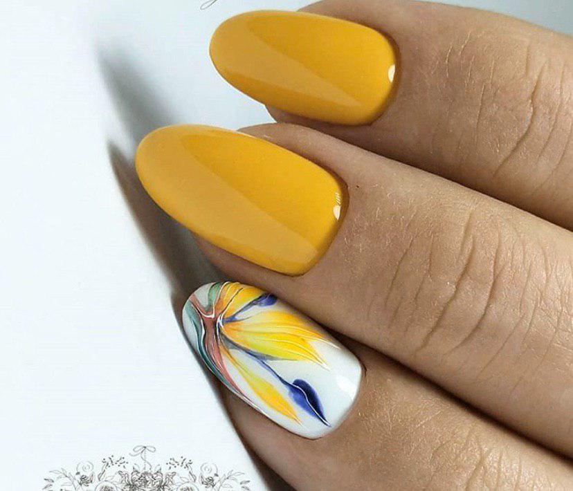 Летние нежные цветы на светлом фоне