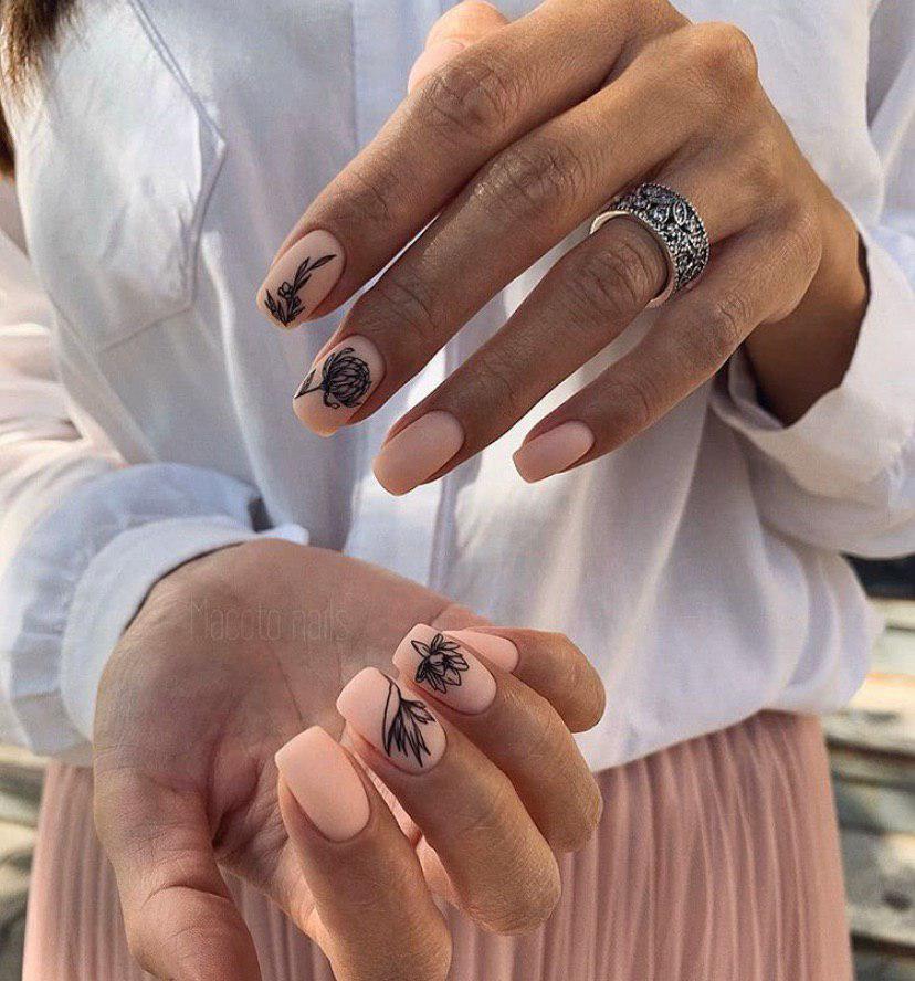 Летние нежные цветы на светлом фоне