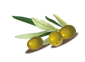 оливковое масло-как укрепить ногти