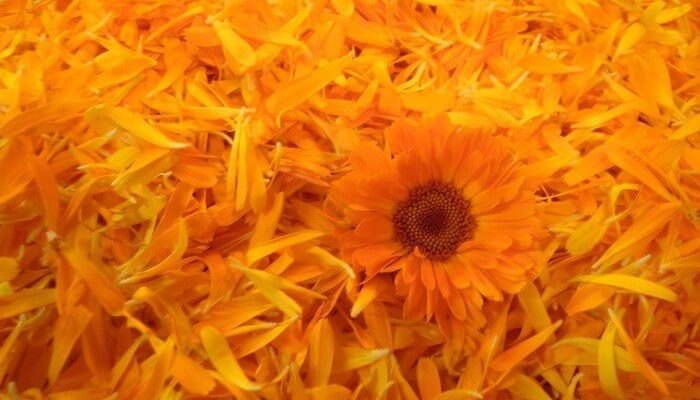 Средства для укрепления ногтей