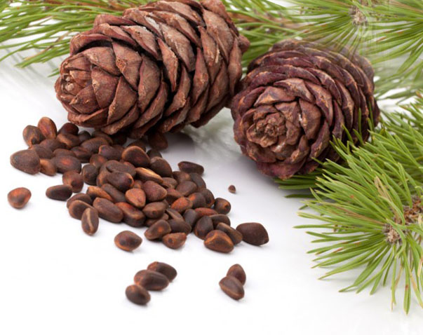 Кедровые ванночки для рук kedrovye-vannochki-dlya-ruk-nog-i-nogtej-04