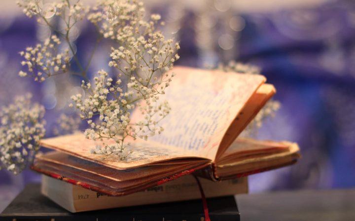 Цитаты из книг о маникюре