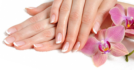 короткий Френч фото