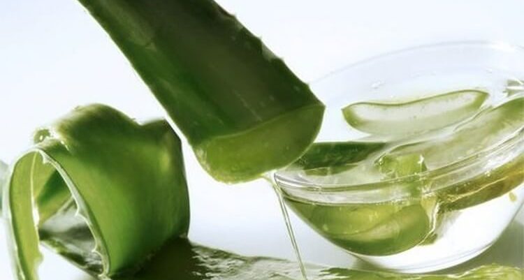 Домашний рецепт из алоэ