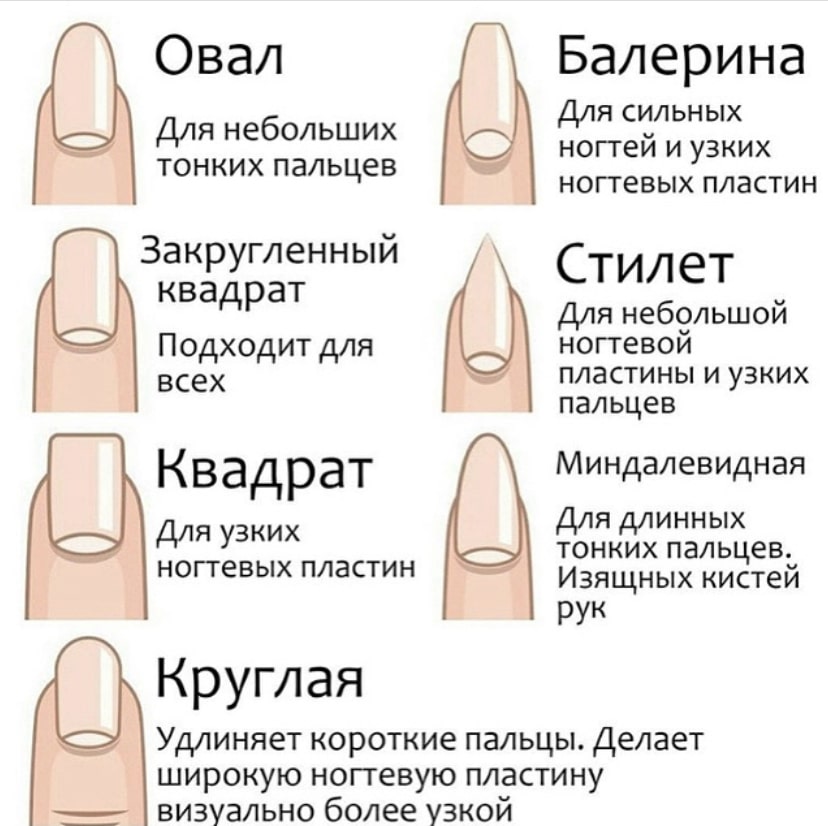 Формы ногтевых пластин