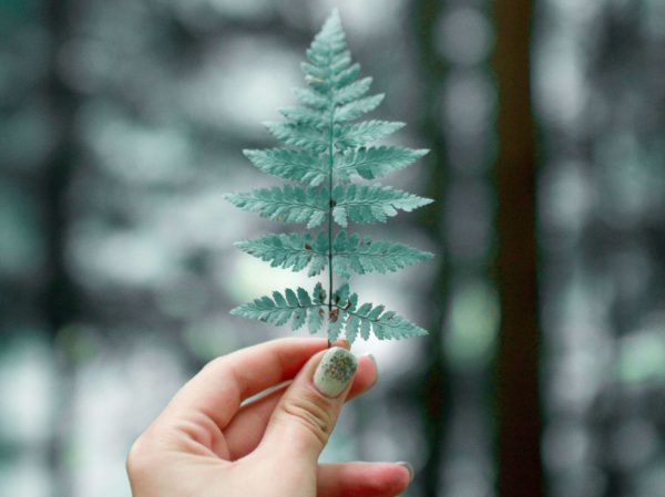 Оттенки и сочетания зеленого