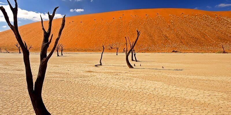 Показания к применению средств от трещин
