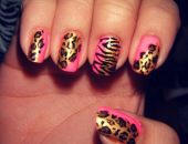 zebra-na-nogtyax-foto-102