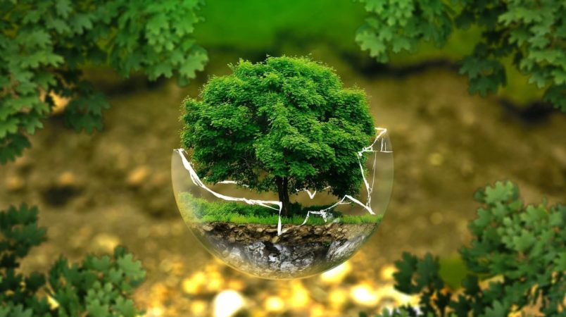 Значение зеленого цвета